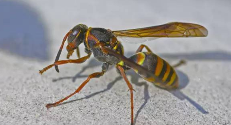 ���������˲��׾��Ǵ�ʹ��ô�� ��ô�жϷ����ڲ���